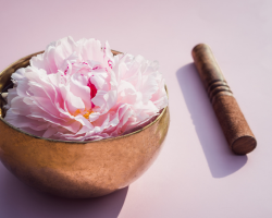 IN-PERSON: Sound Bat